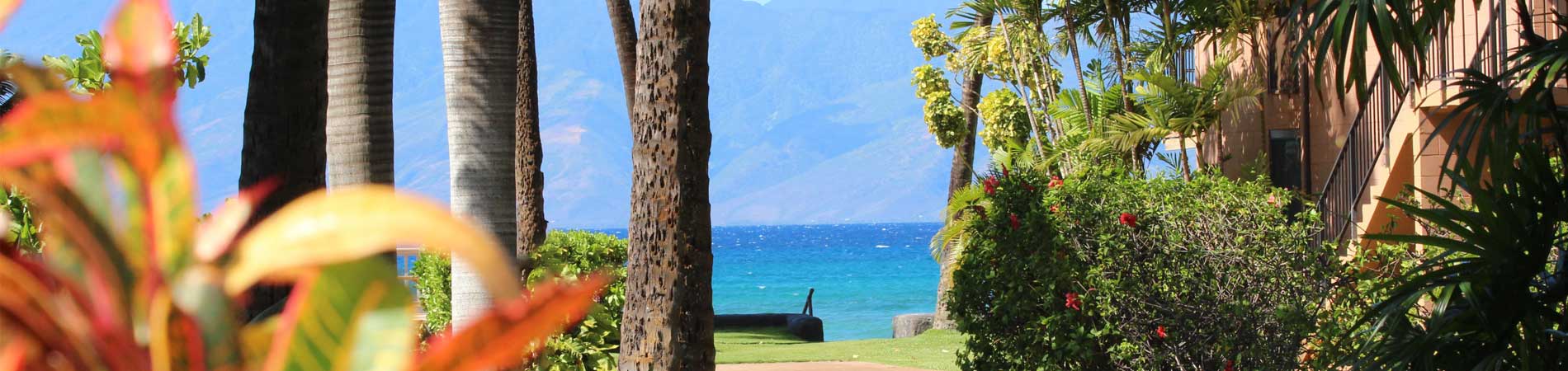 Maui Sands Condos – Ocean Front Condos in West Maui