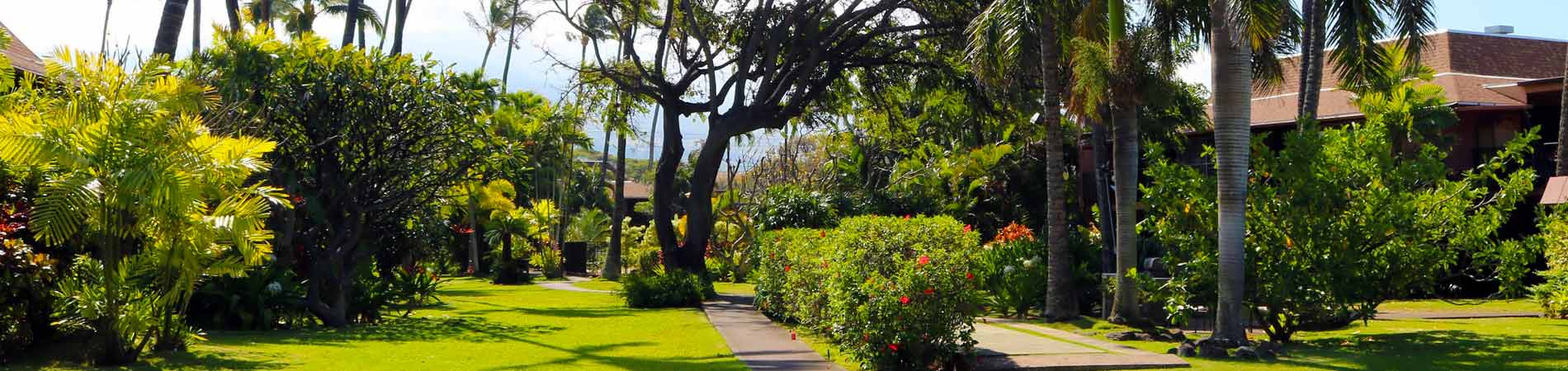 Maui Sands Condos – Ocean Front Condos In West Maui